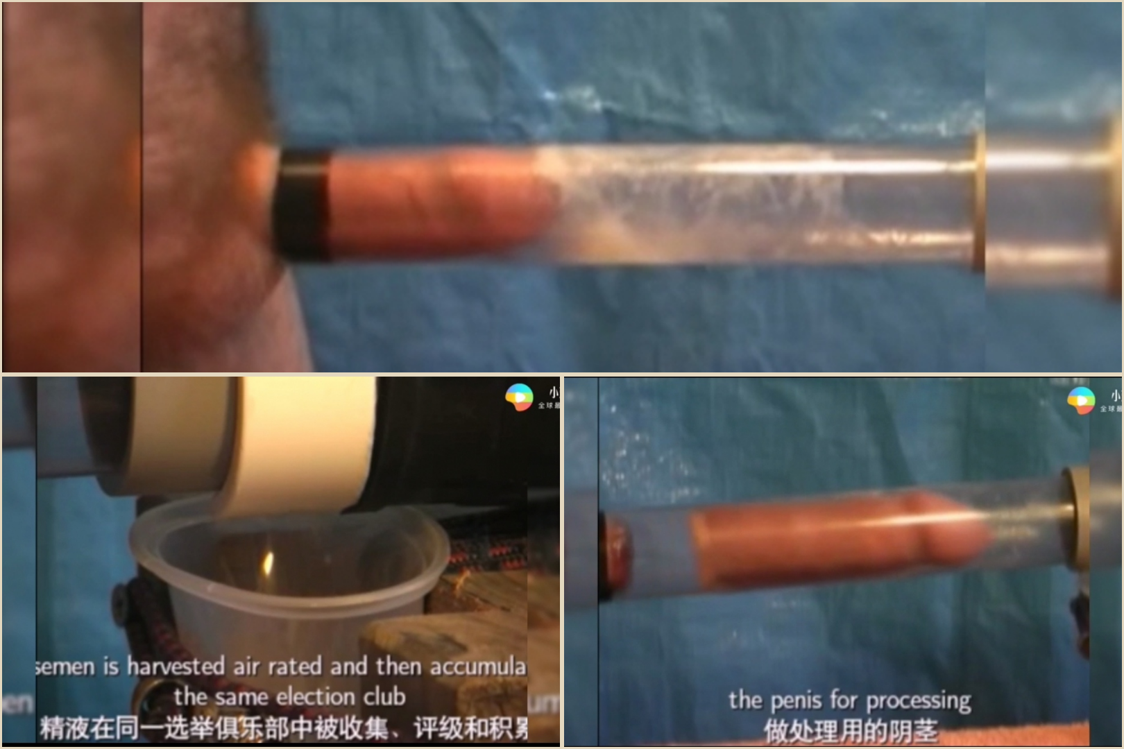 绝对稀有视频，真空抽取精液量达标，自动开启激光切割阴茎！中文字幕版